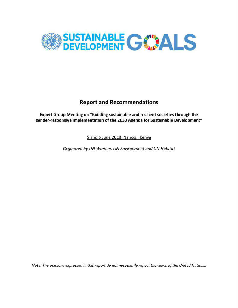 Report and recommendations of the Expert Group Meeting on “Building  sustainable and resilient societies through the gender-responsive  implementation of the 2030 Agenda for Sustainable Development” | UN Women –  Headquarters
