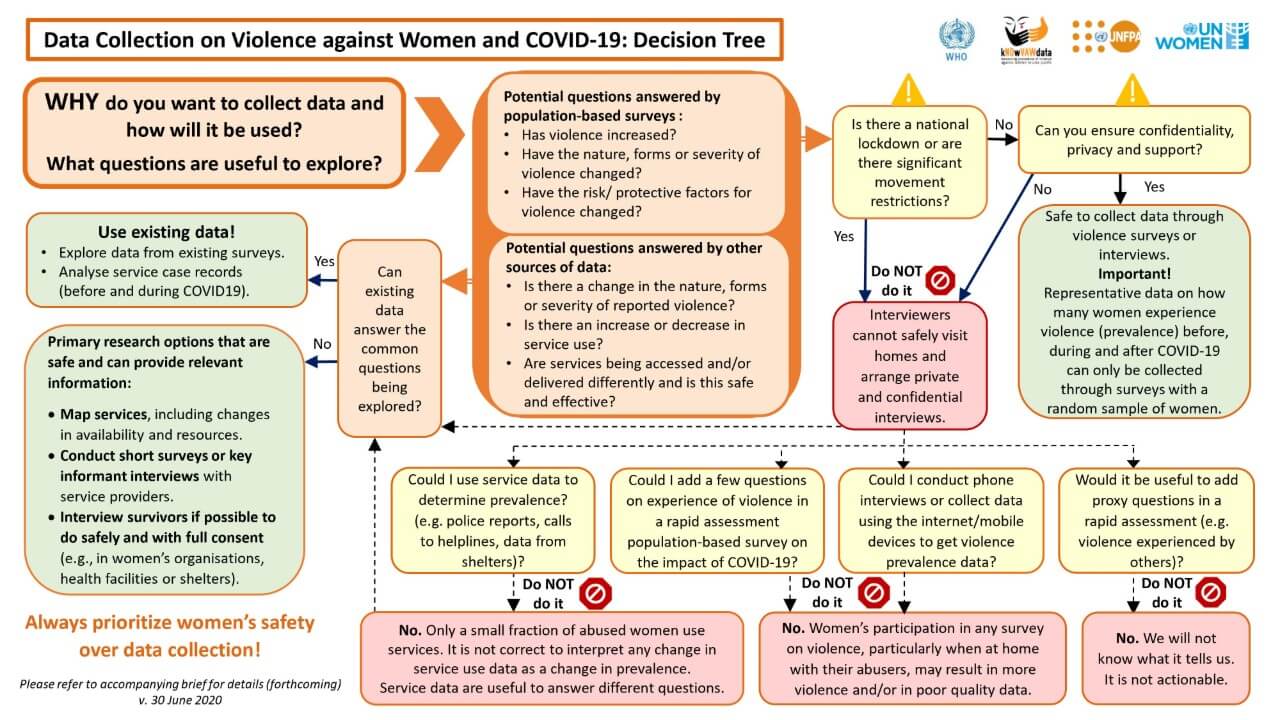 Decision tree: Data collection on violence against women and COVID-19, Digital library: Publications