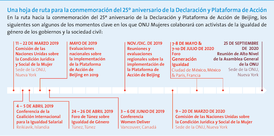 Hoja de ruta para la conmemoración del 25 aniversario de la Declaración y Plataforma de Accion de Beijing