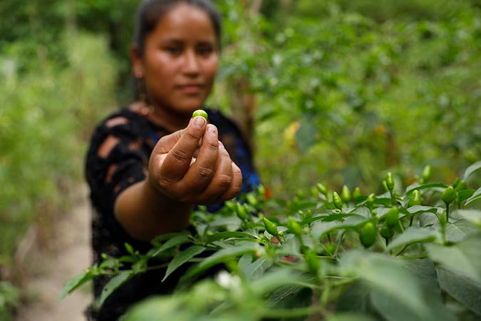 The simple scheme that's driving a quiet revolution for Brazil's family  farmers | UN Women – Headquarters