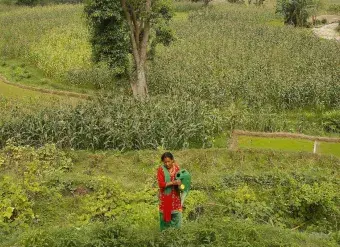 Chandra Kala Thapa works in the fields near Chatiune Village in Sindhuli Disrict, Nepal. Photo: UN Women/Narendra Shrestha