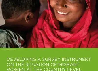 Developing a survey instrument on the situation of migrant women at the country level