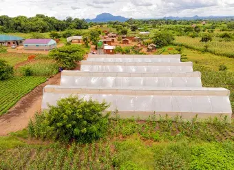 The Kambuku Cooperative greenhouses are seen in rural Lilongwe, Malawi.