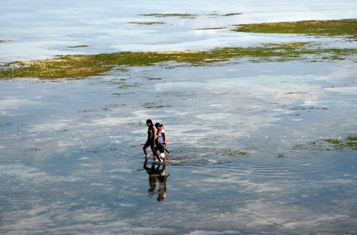 Woman fishing in Dili, Timor-Leste.  Photo: UN Photo/Martine Perret